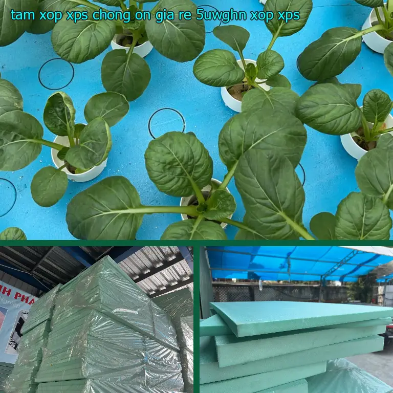 Danh mục tấm xốp XPS chống ồn giá rẻ 5UWGHN: Xốp XPS Danh mục tấm xốp XPS chống ồn giá rẻ 5UWGHN: Xốp XPS