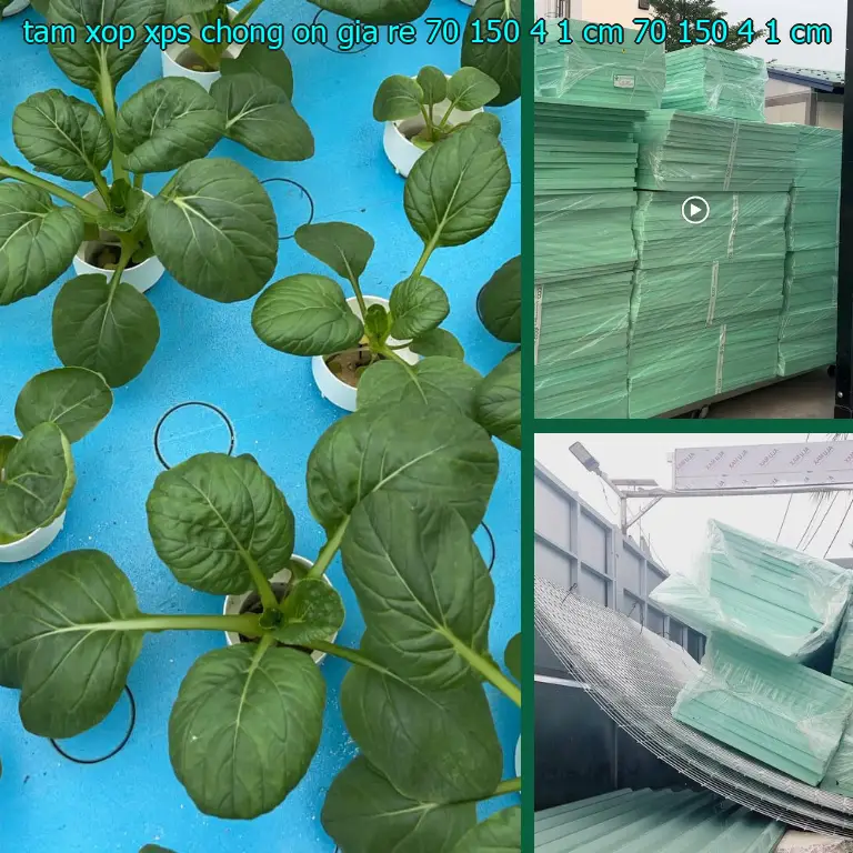Kích thước tấm xốp XPS chống ồn giá rẻ 70*150*4.1 cm: 70*150*4.1 cm Kích thước tấm xốp XPS chống ồn giá rẻ 70*150*4.1 cm: 70*150*4.1 cm
