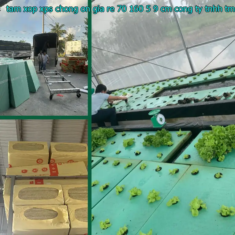 Nhà sản xuất tấm xốp XPS chống ồn giá rẻ 70*160*5.9 cm: Công ty TNHH TM - DV - phát triển Việt Hưng Nhà sản xuất tấm xốp XPS chống ồn giá rẻ 70*160*5.9 cm: Công ty TNHH TM - DV - phát triển Việt Hưng