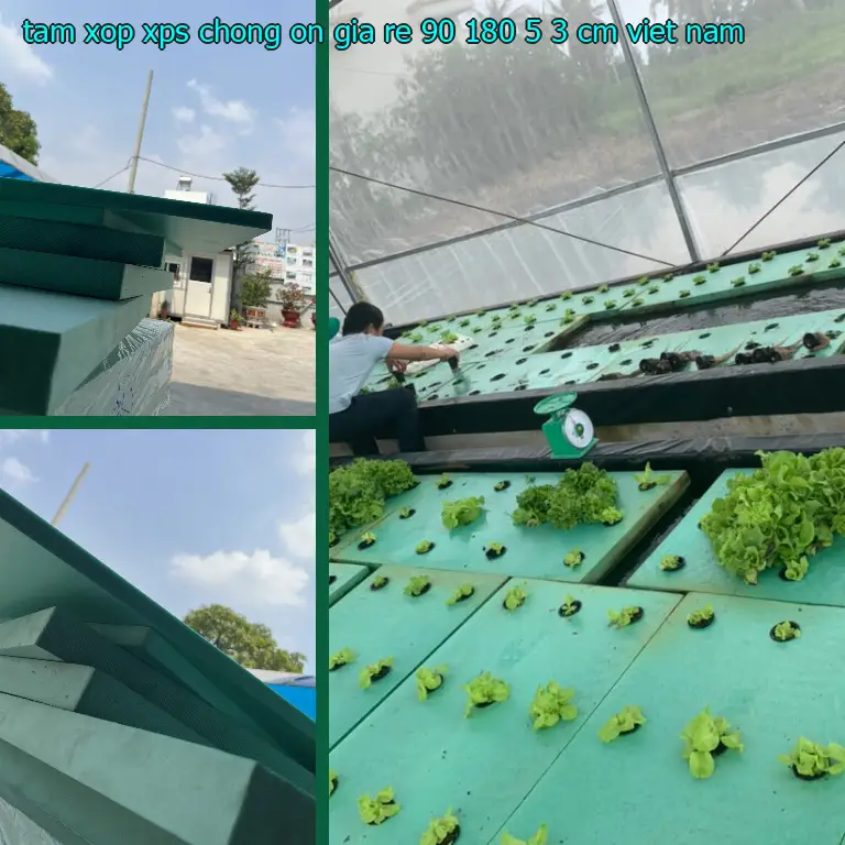 Xuất xứ tấm xốp XPS chống ồn giá rẻ 90*180*5.3 cm: Việt Nam Xuất xứ tấm xốp XPS chống ồn giá rẻ 90*180*5.3 cm: Việt Nam