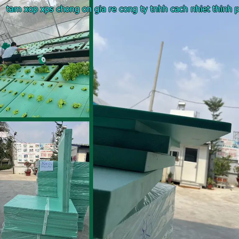 Nhà cung cấp tấm xốp XPS chống ồn giá rẻ Công ty TNHH cách nhiệt Thịnh Phát: Công ty Ngọn Hải Đăng Nhà cung cấp tấm xốp XPS chống ồn giá rẻ Công ty TNHH cách nhiệt Thịnh Phát: Công ty Ngọn Hải Đăng