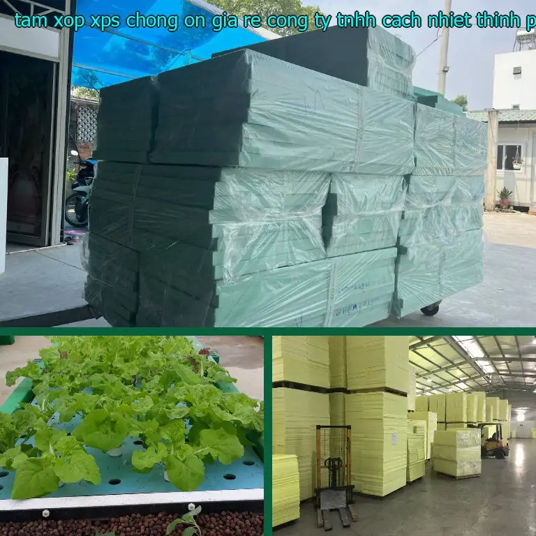 Xuất xứ tấm xốp XPS chống ồn giá rẻ Công ty TNHH cách nhiệt Thịnh Phát: VN Xuất xứ tấm xốp XPS chống ồn giá rẻ Công ty TNHH cách nhiệt Thịnh Phát: VN