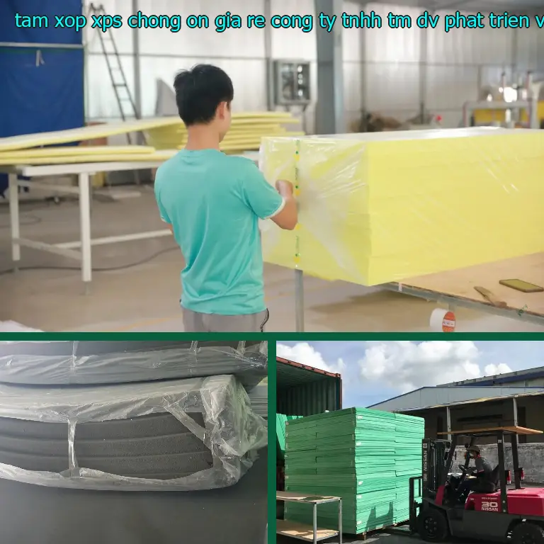 Model tấm xốp XPS chống ồn giá rẻ Công ty TNHH TM - DV - phát triển Việt Hưng: BAEG0W