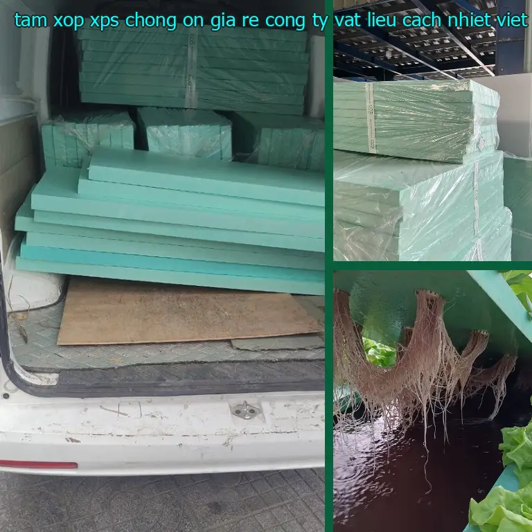 Nhà sản xuất tấm xốp XPS chống ồn giá rẻ Công ty vật liệu cách nhiệt Việt Nhật: Công ty vật liệu cách nhiệt Việt Nhật Nhà sản xuất tấm xốp XPS chống ồn giá rẻ Công ty vật liệu cách nhiệt Việt Nhật: Công ty vật liệu cách nhiệt Việt Nhật