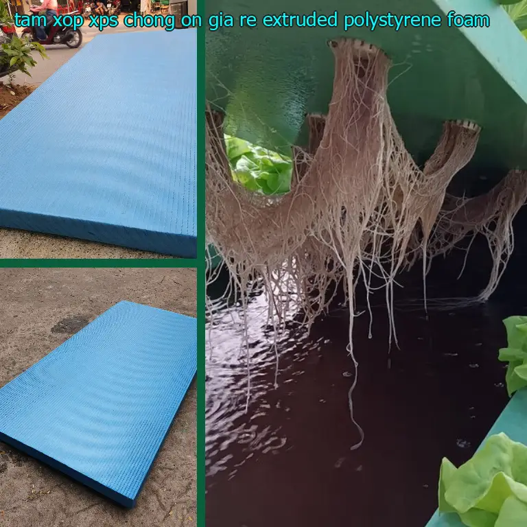 Tấm xốp XPS chống ồn giá rẻ Extruded Polystyrene Foam