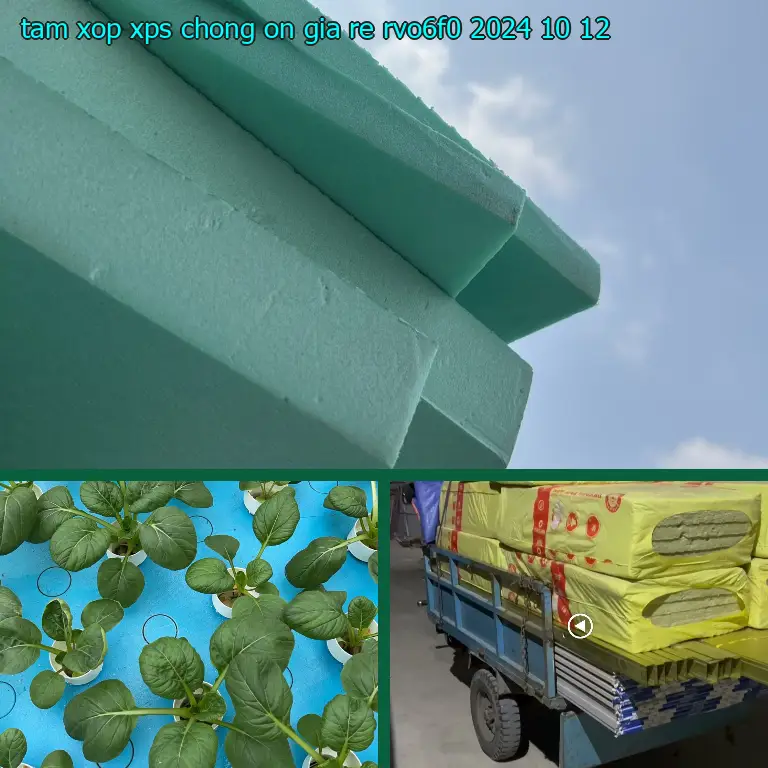 Ngày sản xuất tấm xốp XPS chống ồn giá rẻ RVO6F0: 2024-10-12 Ngày sản xuất tấm xốp XPS chống ồn giá rẻ RVO6F0: 2024-10-12