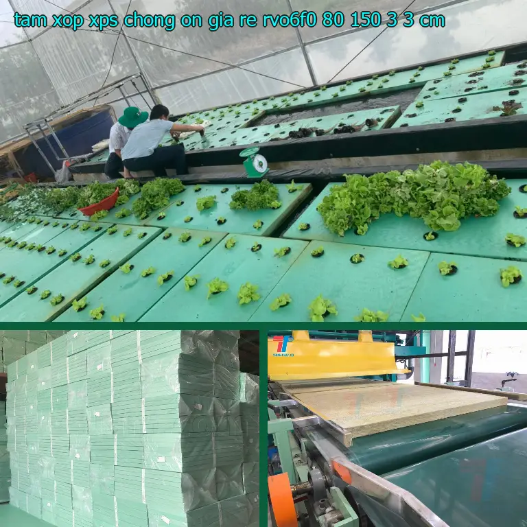 Kích thước tấm xốp XPS chống ồn giá rẻ RVO6F0: 80*150*3.3 cm Kích thước tấm xốp XPS chống ồn giá rẻ RVO6F0: 80*150*3.3 cm