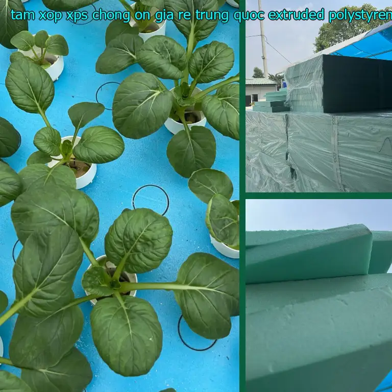 Chất liệu tấm xốp XPS chống ồn giá rẻ Trung Quốc: Extruded Polystyrene