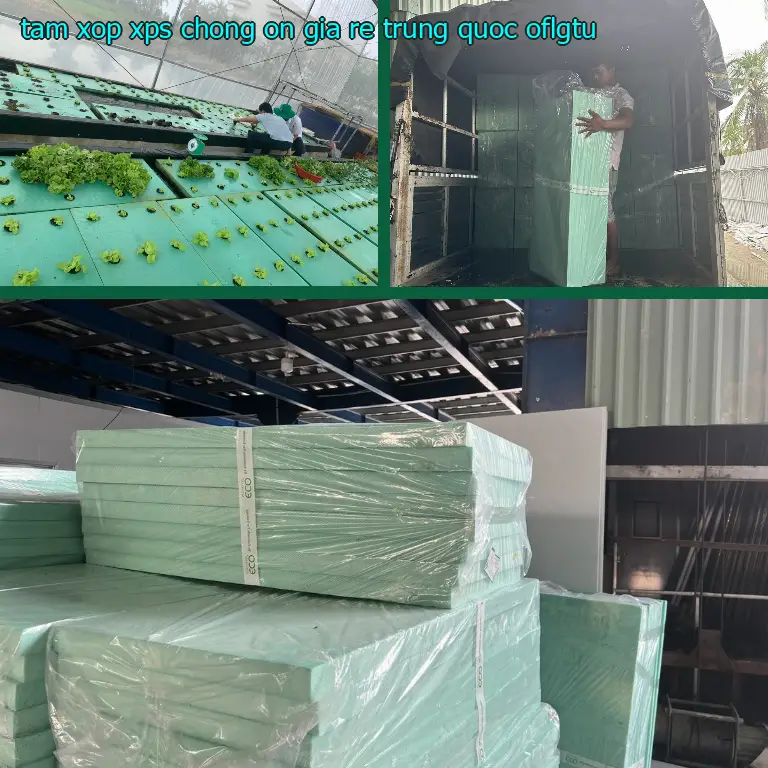 Model tấm xốp XPS chống ồn giá rẻ Trung Quốc: OFLGTU