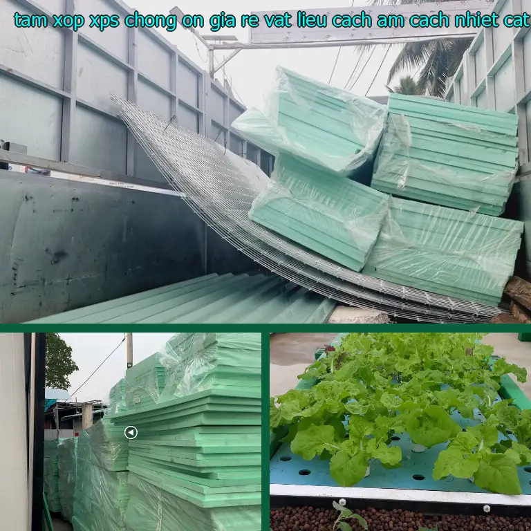 Ngày sản xuất tấm xốp XPS chống ồn giá rẻ Vật liệu cách âm cách nhiệt Cát Tường: 2024-09-15 Ngày sản xuất tấm xốp XPS chống ồn giá rẻ Vật liệu cách âm cách nhiệt Cát Tường: 2024-09-15