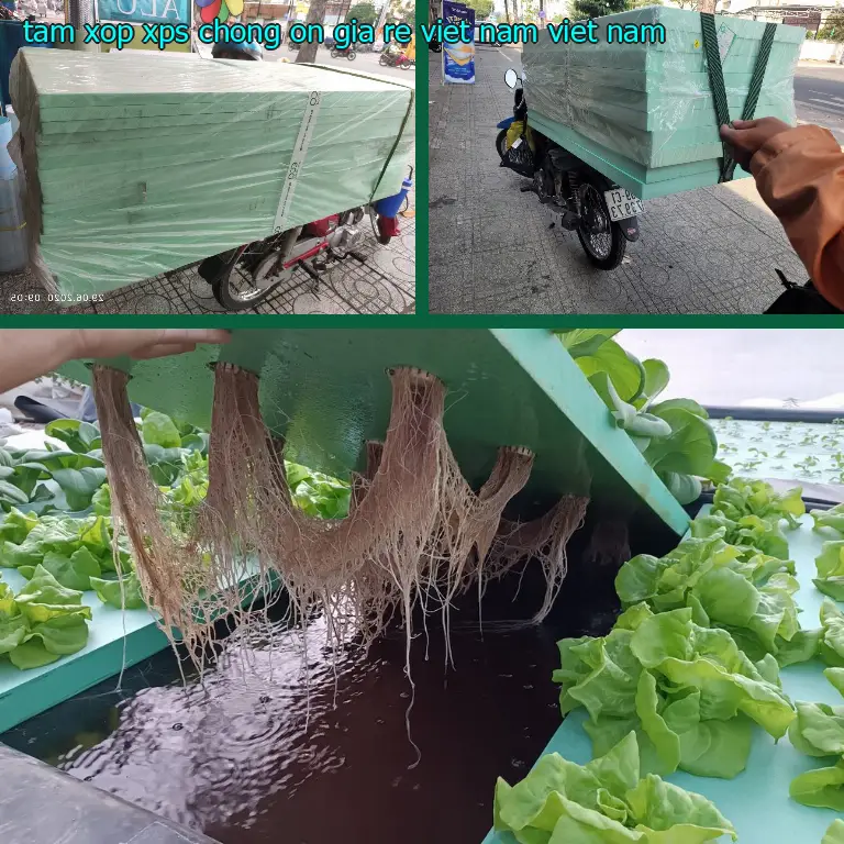 Xuất xứ tấm xốp XPS chống ồn giá rẻ Viet Nam: Viet Nam Xuất xứ tấm xốp XPS chống ồn giá rẻ Viet Nam: Viet Nam