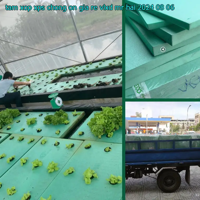Ngày sản xuất tấm xốp XPS chống ồn giá rẻ VLXD Mr.HẢI: 2024-08-06 Ngày sản xuất tấm xốp XPS chống ồn giá rẻ VLXD Mr.HẢI: 2024-08-06