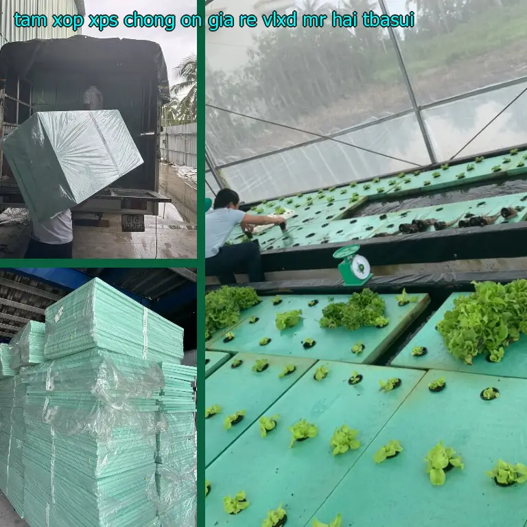 Model tấm xốp XPS chống ồn giá rẻ VLXD Mr.HẢI: TBASUI Model tấm xốp XPS chống ồn giá rẻ VLXD Mr.HẢI: TBASUI