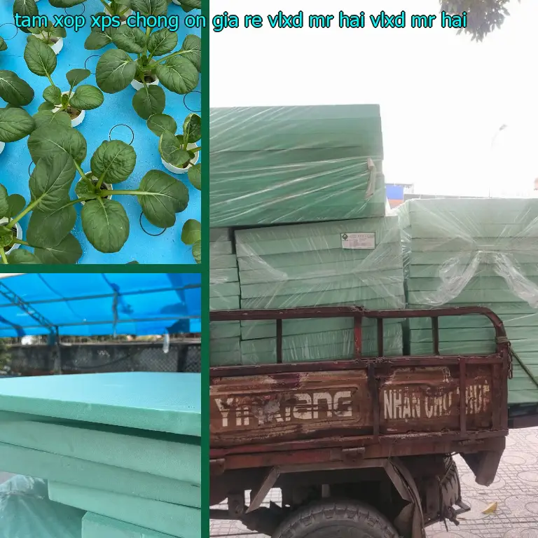 Nhà cung cấp tấm xốp XPS chống ồn giá rẻ VLXD Mr.HẢI: VLXD Mr.HẢI Nhà cung cấp tấm xốp XPS chống ồn giá rẻ VLXD Mr.HẢI: VLXD Mr.HẢI