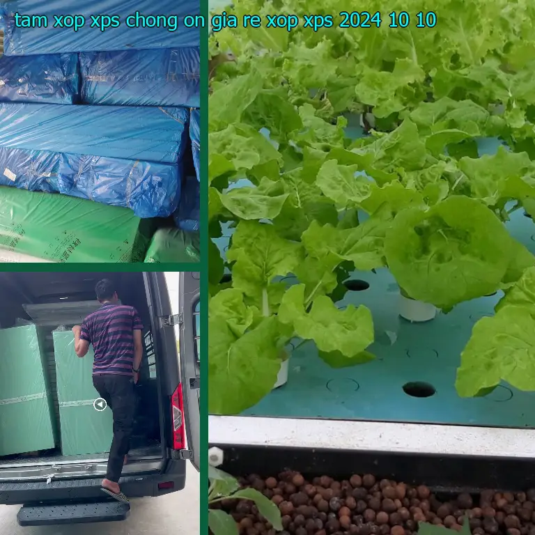 Ngày sản xuất tấm xốp XPS chống ồn giá rẻ Xốp XPS: 2024-10-10 Ngày sản xuất tấm xốp XPS chống ồn giá rẻ Xốp XPS: 2024-10-10