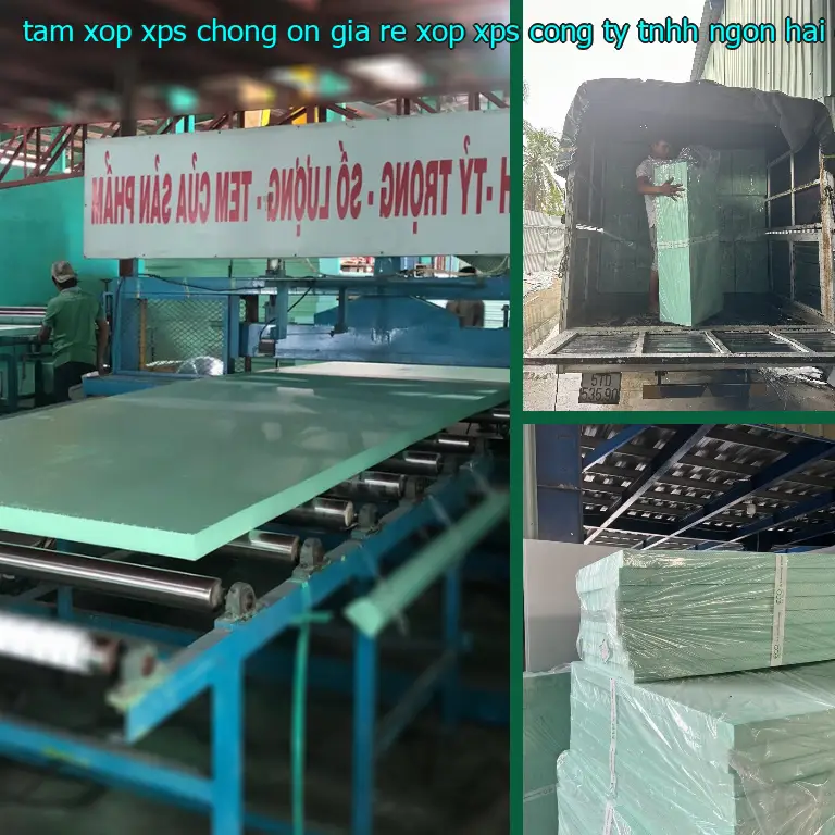 Nhà cung cấp tấm xốp XPS chống ồn giá rẻ Xốp XPS: Công ty TNHH Ngọn Hải Đăng Nhà cung cấp tấm xốp XPS chống ồn giá rẻ Xốp XPS: Công ty TNHH Ngọn Hải Đăng