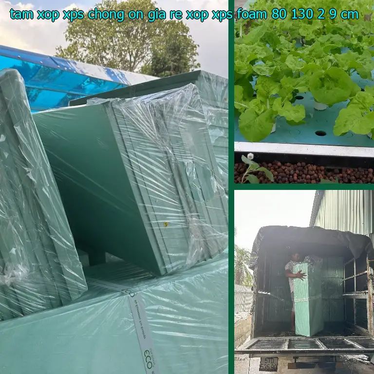 Kích thước tấm xốp XPS chống ồn giá rẻ Xốp XPS Foam: 80*130*2.9 cm Kích thước tấm xốp XPS chống ồn giá rẻ Xốp XPS Foam: 80*130*2.9 cm