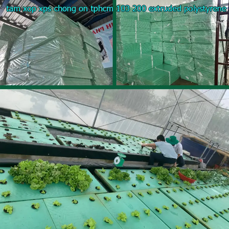 Chất liệu tấm xốp XPS chống ồn TpHCM 103.200₫: Extruded Polystyrene Chất liệu tấm xốp XPS chống ồn TpHCM 103.200₫: Extruded Polystyrene