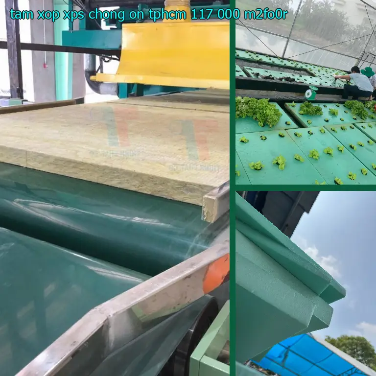 Model tấm xốp XPS chống ồn TpHCM 117.000₫: M2FO0R Model tấm xốp XPS chống ồn TpHCM 117.000₫: M2FO0R