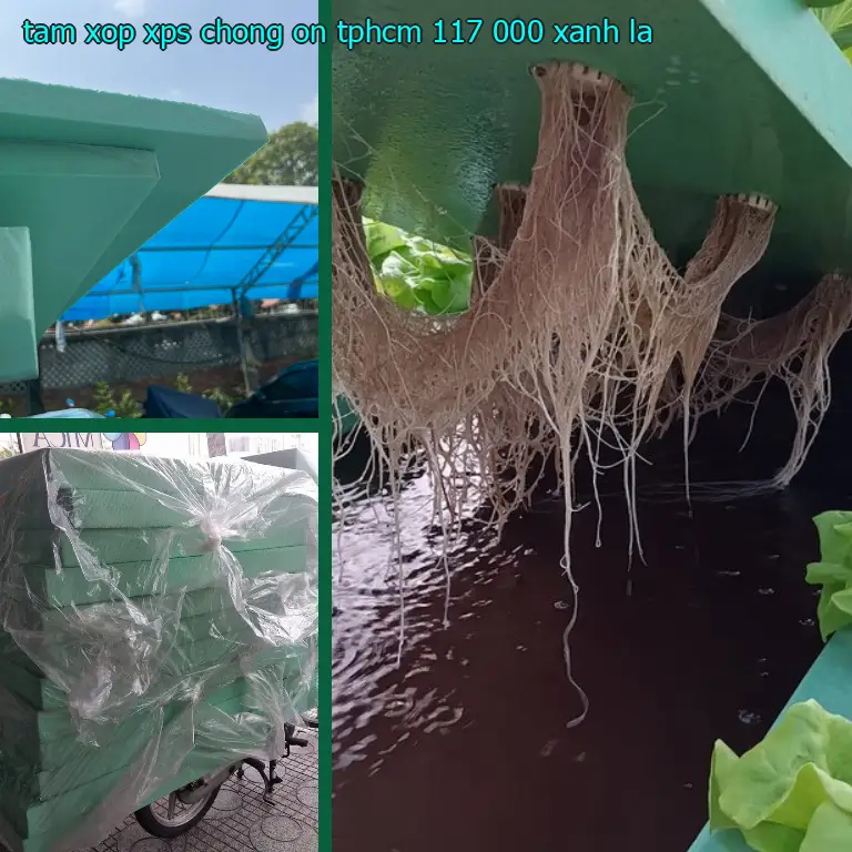 Màu sắc tấm xốp XPS chống ồn TpHCM 117.000₫: Xanh lá Màu sắc tấm xốp XPS chống ồn TpHCM 117.000₫: Xanh lá