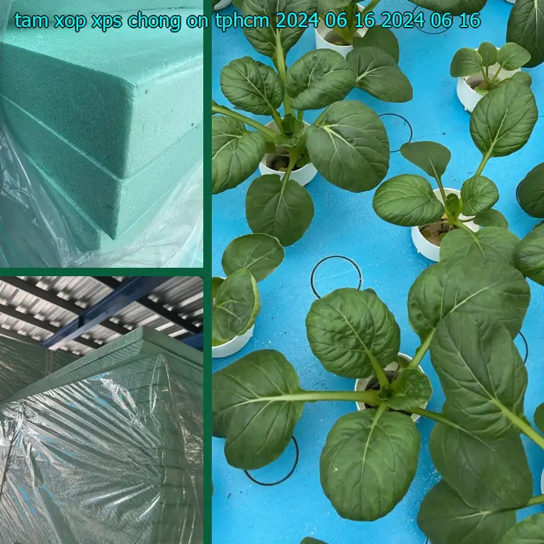 Ngày sản xuất tấm xốp XPS chống ồn TpHCM 2024-06-16: 2024-06-16 Ngày sản xuất tấm xốp XPS chống ồn TpHCM 2024-06-16: 2024-06-16
