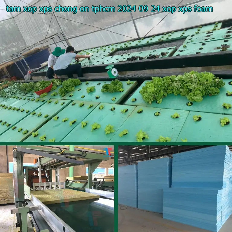 Danh mục tấm xốp XPS chống ồn TpHCM 2024-09-24: Xốp XPS Foam Danh mục tấm xốp XPS chống ồn TpHCM 2024-09-24: Xốp XPS Foam