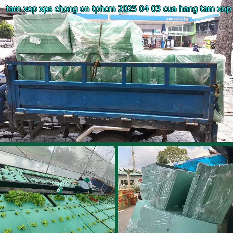 Nhà cung cấp tấm xốp XPS chống ồn TpHCM 2025-04-03: Cửa hàng tấm xốp Mr.HẢI Nhà cung cấp tấm xốp XPS chống ồn TpHCM 2025-04-03: Cửa hàng tấm xốp Mr.HẢI