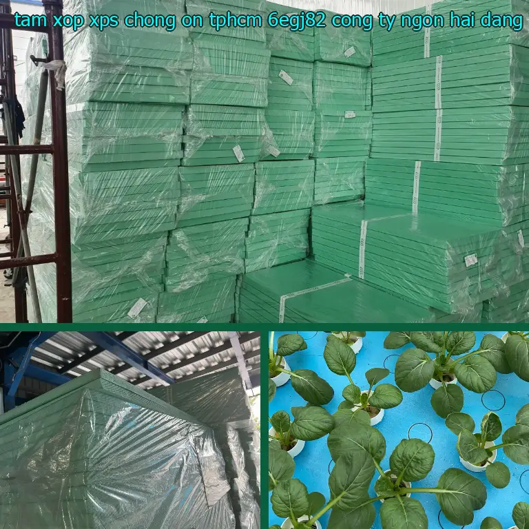 Nhà cung cấp tấm xốp XPS chống ồn TpHCM 6EGJ82: Công ty Ngọn Hải Đăng