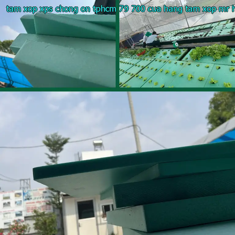 Nhà cung cấp tấm xốp XPS chống ồn TpHCM 79.700₫: Cửa hàng tấm xốp Mr.HẢI Nhà cung cấp tấm xốp XPS chống ồn TpHCM 79.700₫: Cửa hàng tấm xốp Mr.HẢI