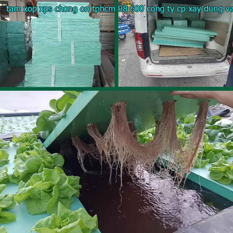 Nhà sản xuất tấm xốp XPS chống ồn TpHCM 98.600₫: Công ty CP xây dựng và nội thất Remak Nhà sản xuất tấm xốp XPS chống ồn TpHCM 98.600₫: Công ty CP xây dựng và nội thất Remak