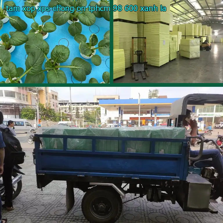 Màu sắc tấm xốp XPS chống ồn TpHCM 98.600₫: Xanh lá Màu sắc tấm xốp XPS chống ồn TpHCM 98.600₫: Xanh lá
