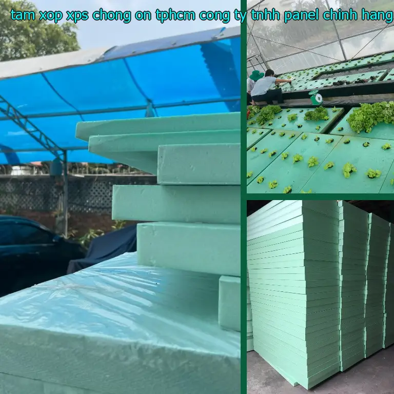 Màu sắc tấm xốp XPS chống ồn TpHCM Công ty TNHH Panel Chính Hãng: Xanh dương Màu sắc tấm xốp XPS chống ồn TpHCM Công ty TNHH Panel Chính Hãng: Xanh dương