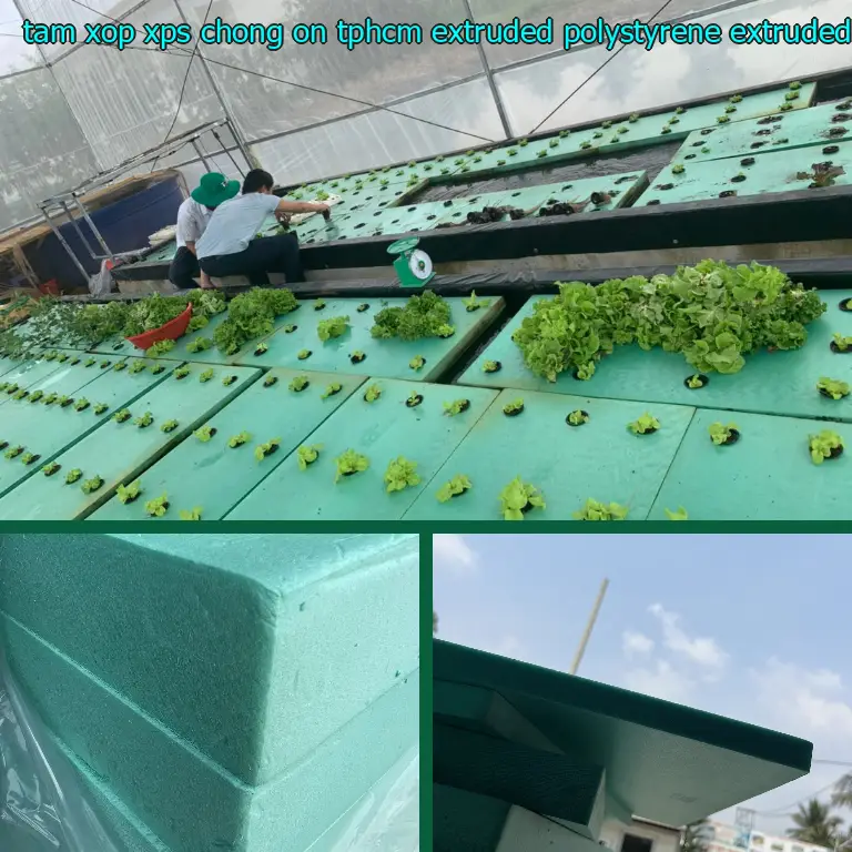 Chất liệu tấm xốp XPS chống ồn TpHCM Extruded Polystyrene: Extruded Polystyrene