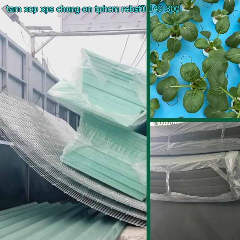 Đơn giá tấm xốp XPS chống ồn TpHCM REBSF0: 149.300₫ Đơn giá tấm xốp XPS chống ồn TpHCM REBSF0: 149.300₫