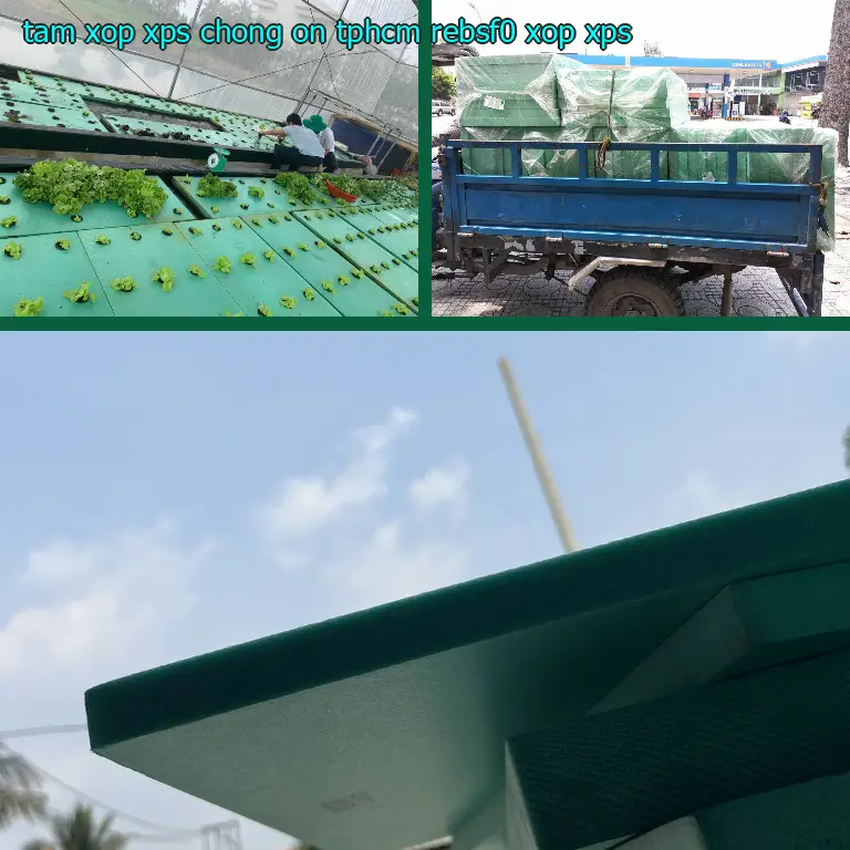 Danh mục tấm xốp XPS chống ồn TpHCM REBSF0: Xốp XPS Danh mục tấm xốp XPS chống ồn TpHCM REBSF0: Xốp XPS