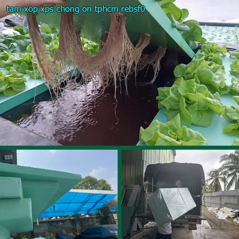 Tấm xốp XPS chống ồn TpHCM REBSF0