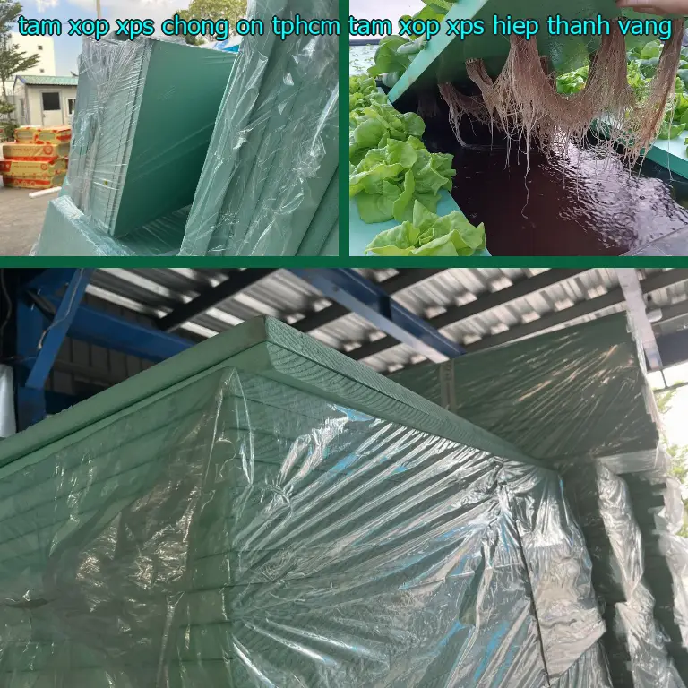 Màu sắc tấm xốp XPS chống ồn TpHCM Tấm xốp XPS Hiệp Thành: Vàng Màu sắc tấm xốp XPS chống ồn TpHCM Tấm xốp XPS Hiệp Thành: Vàng