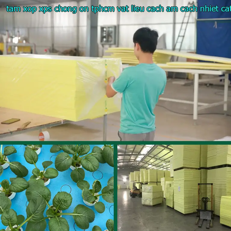 Kích thước tấm xốp XPS chống ồn TpHCM Vật liệu cách âm cách nhiệt Cát Tường: 70*140*2.9 cm Kích thước tấm xốp XPS chống ồn TpHCM Vật liệu cách âm cách nhiệt Cát Tường: 70*140*2.9 cm
