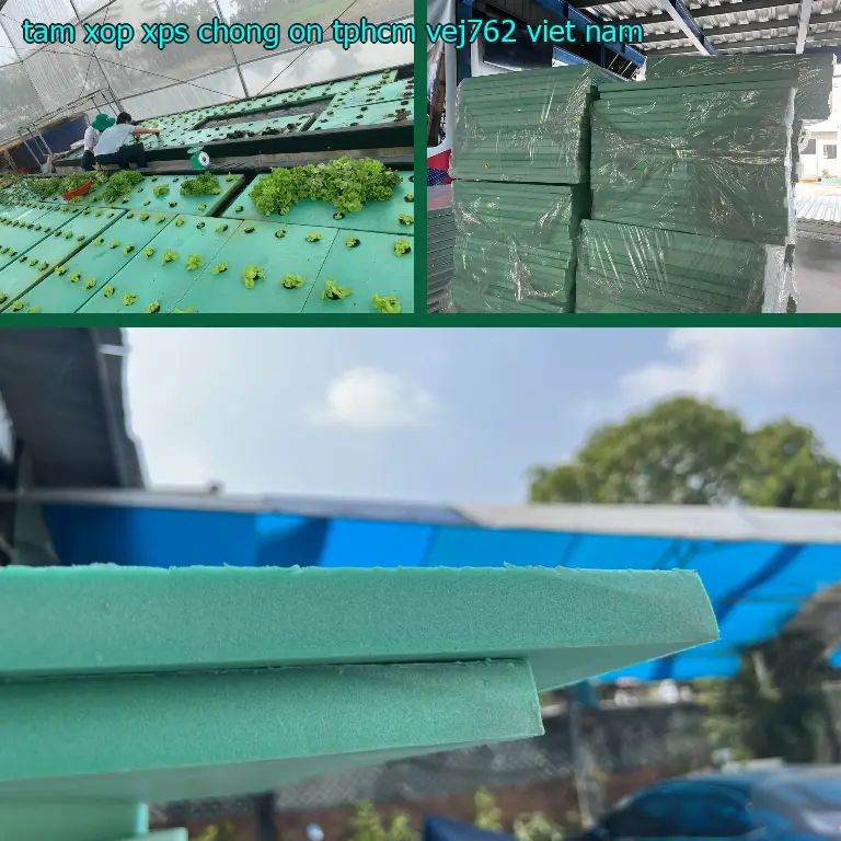 Xuất xứ tấm xốp XPS chống ồn TpHCM VEJ762: Viet Nam