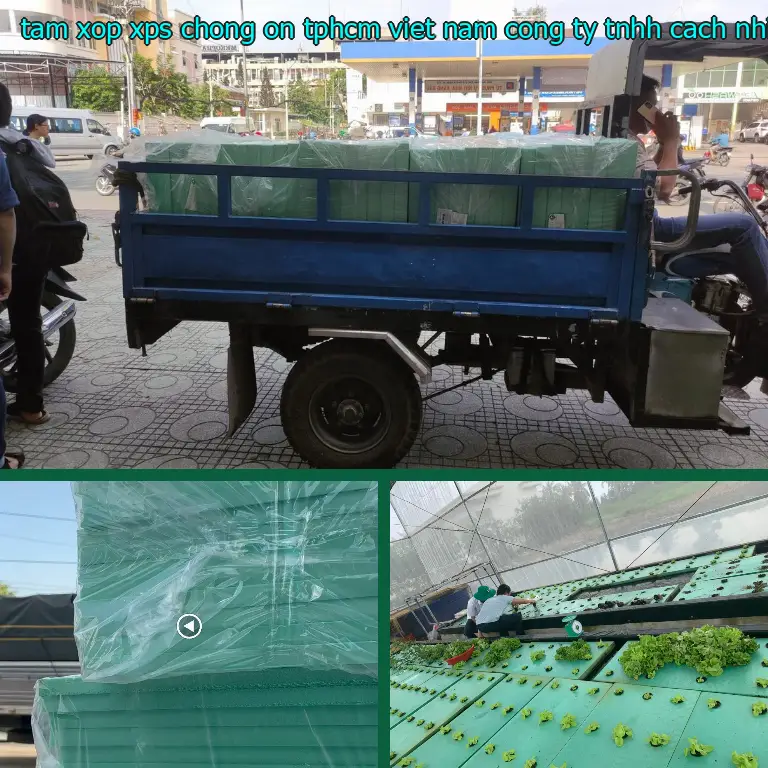 Nhà sản xuất tấm xốp XPS chống ồn TpHCM Viet Nam: Công ty TNHH cách nhiệt King Panel