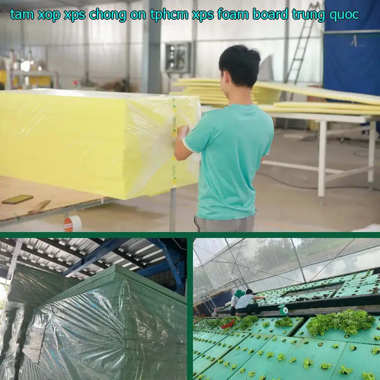 Xuất xứ tấm xốp XPS chống ồn TpHCM XPS Foam Board: Trung Quốc Xuất xứ tấm xốp XPS chống ồn TpHCM XPS Foam Board: Trung Quốc