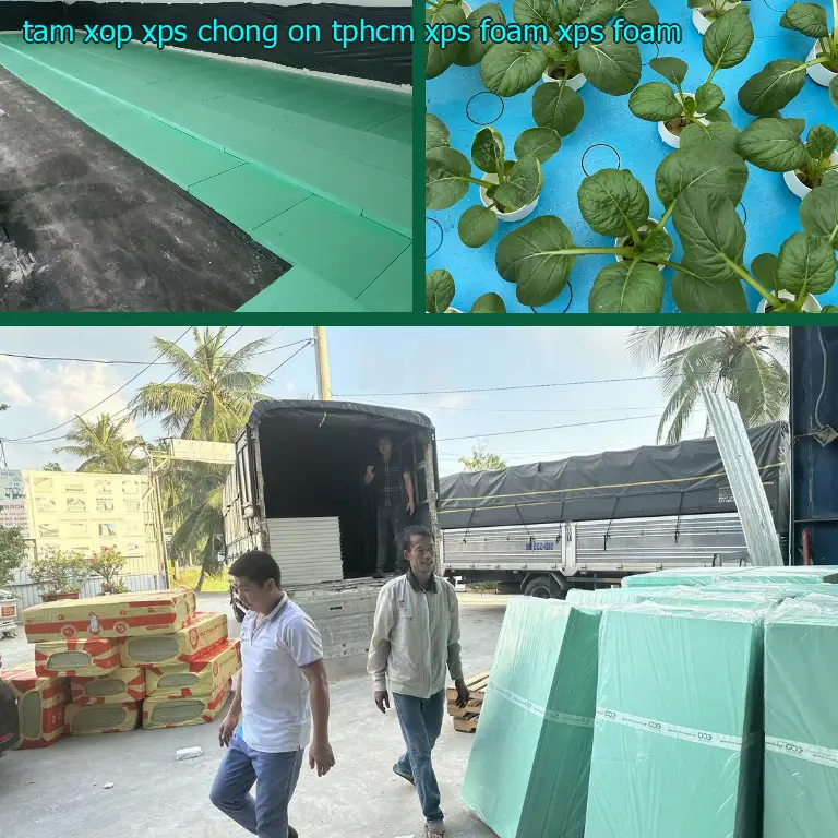 Danh mục tấm xốp XPS chống ồn TpHCM XPS Foam: XPS Foam Danh mục tấm xốp XPS chống ồn TpHCM XPS Foam: XPS Foam