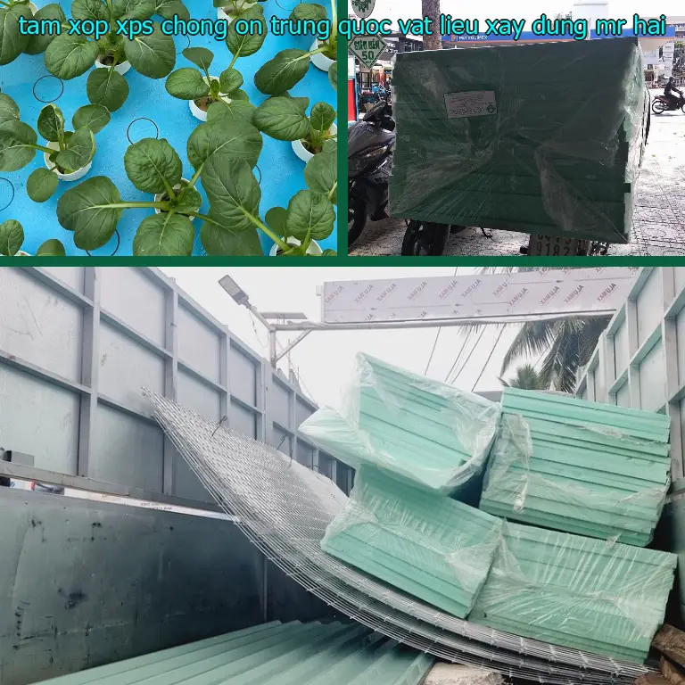 Nhà cung cấp tấm xốp XPS chống ồn Trung Quốc: Vật Liệu Xây Dựng Mr.HẢI Nhà cung cấp tấm xốp XPS chống ồn Trung Quốc: Vật Liệu Xây Dựng Mr.HẢI