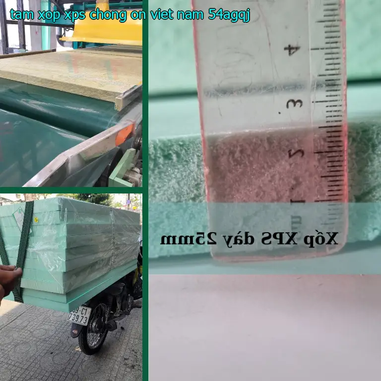 Model tấm xốp XPS chống ồn Viet Nam: 54AGQJ