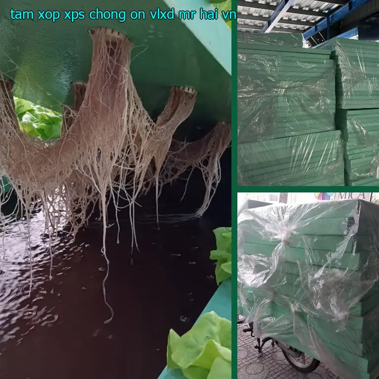 Xuất xứ tấm xốp XPS chống ồn VLXD Mr.HẢI: VN