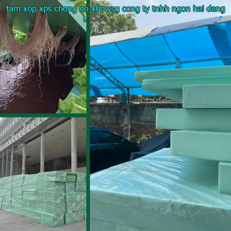 Nhà cung cấp tấm xốp XPS chống ồn X0PWSG: Công ty TNHH Ngọn Hải Đăng Nhà cung cấp tấm xốp XPS chống ồn X0PWSG: Công ty TNHH Ngọn Hải Đăng