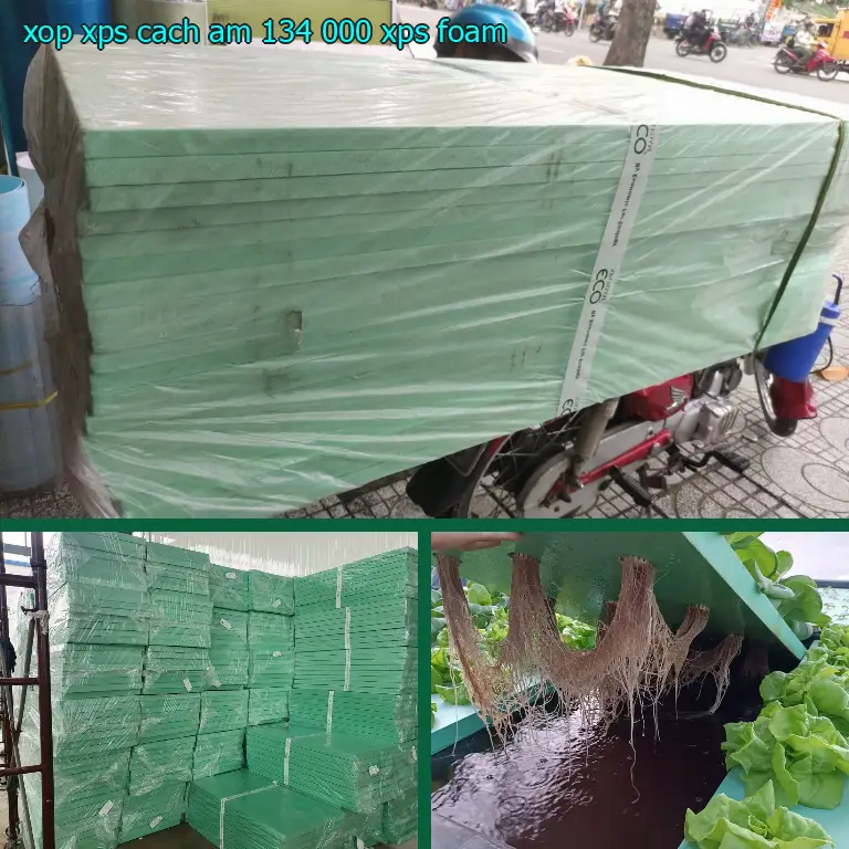 Danh mục xốp XPS cách âm 134.000₫: XPS Foam Danh mục xốp XPS cách âm 134.000₫: XPS Foam