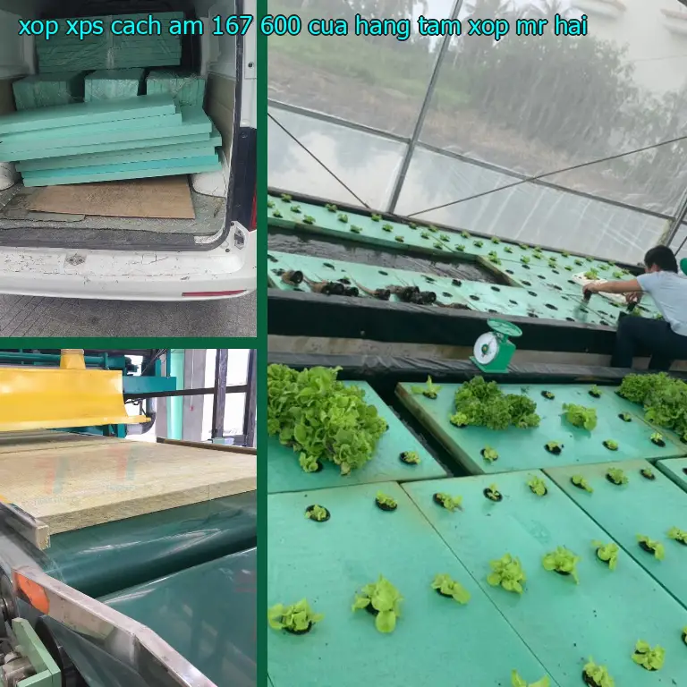 Nhà cung cấp xốp XPS cách âm 167.600₫: Cửa hàng tấm xốp Mr.HẢI Nhà cung cấp xốp XPS cách âm 167.600₫: Cửa hàng tấm xốp Mr.HẢI