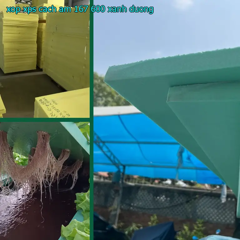 Màu sắc xốp XPS cách âm 167.600₫: Xanh dương Màu sắc xốp XPS cách âm 167.600₫: Xanh dương