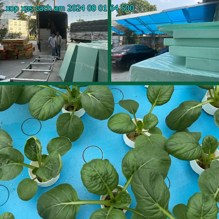 Đơn giá xốp XPS cách âm 2024-08-01: 64.500₫ Đơn giá xốp XPS cách âm 2024-08-01: 64.500₫